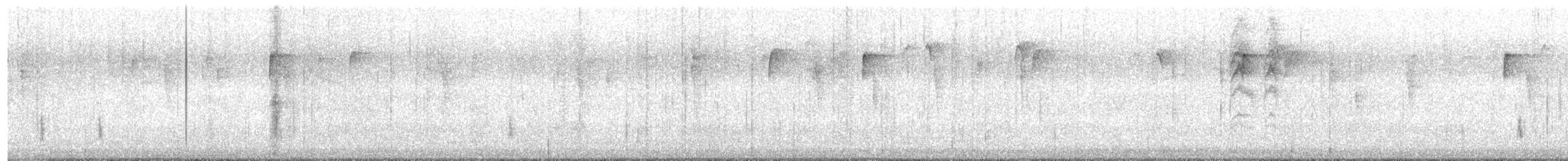 Hermit Thrush - ML612295845