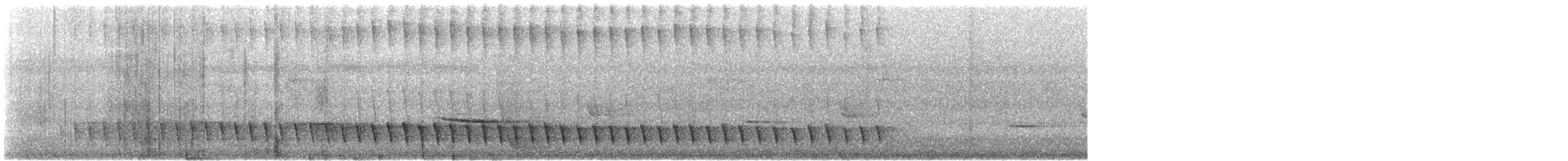 Méliphage de Lewin - ML612296989