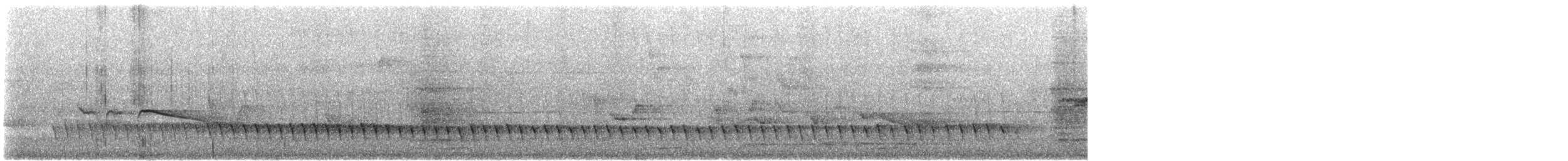 Méliphage de Lewin - ML612296990