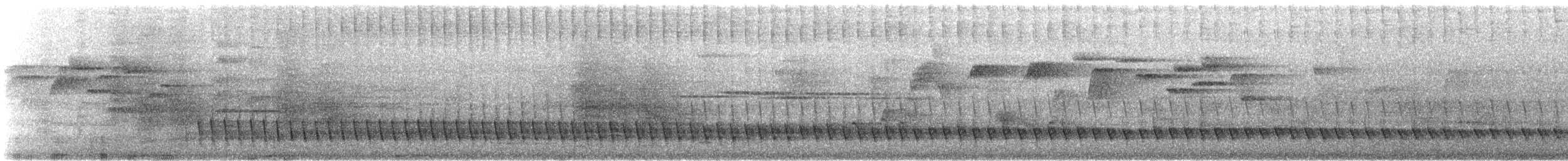 Méliphage de Lewin - ML612296991