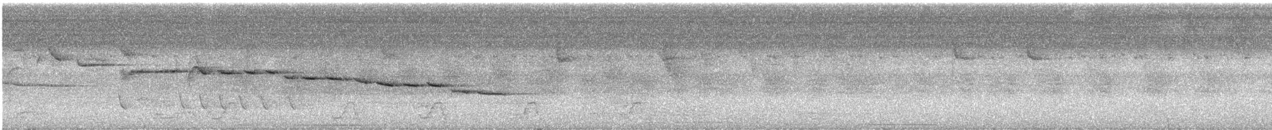 Reinita Silbona - ML612297292