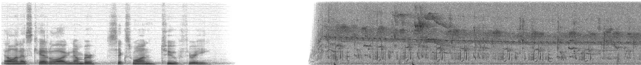 Колібрі-шаблекрил юкатанський (підвид pampa) - ML6123