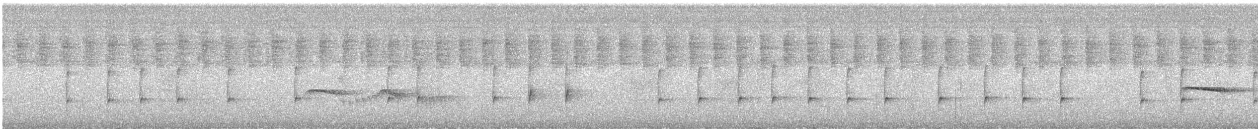 Microtyran oreillard - ML612300668