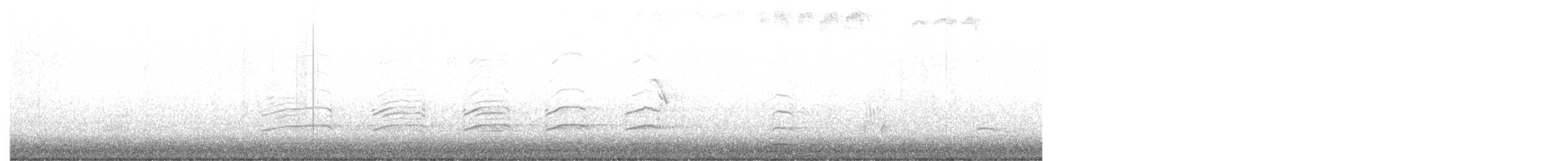 Peregrine Falcon - ML612307101