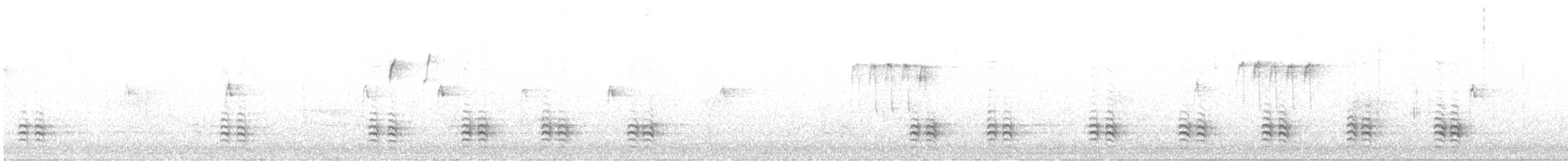 Weißbrustkleiber (carolinensis) - ML612307299