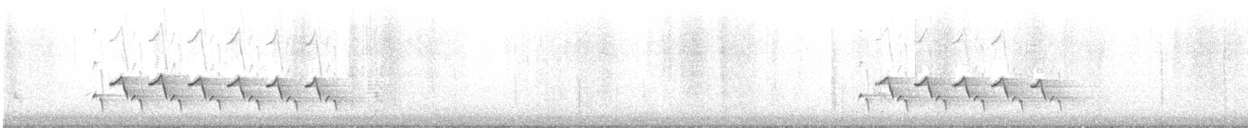 Поплітник каролінський - ML612316491