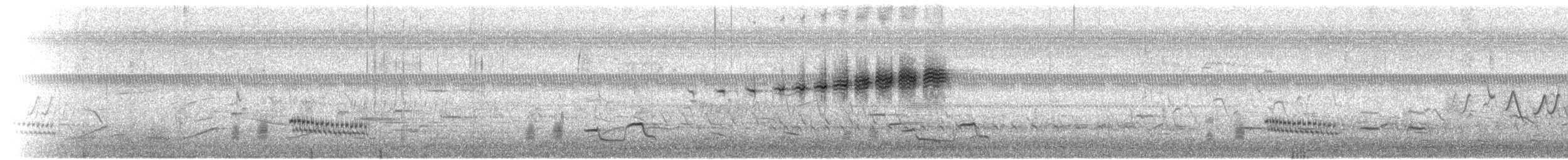 Prairie Warbler - ML61231881