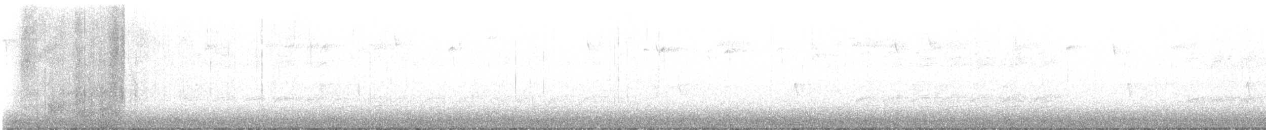 "Шишкар ялиновий (Northeastern, або тип 12)" - ML612322091