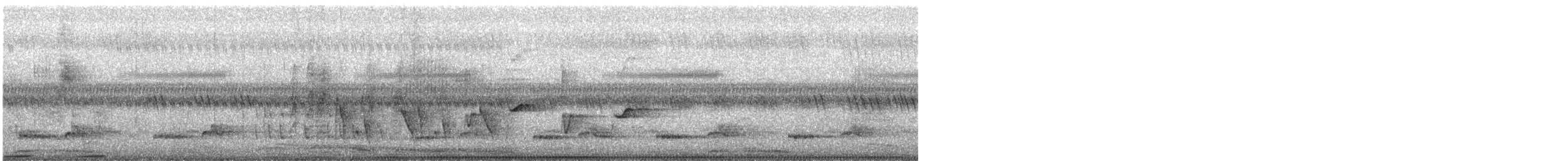 Ошейниковая веерохвостка - ML612323935