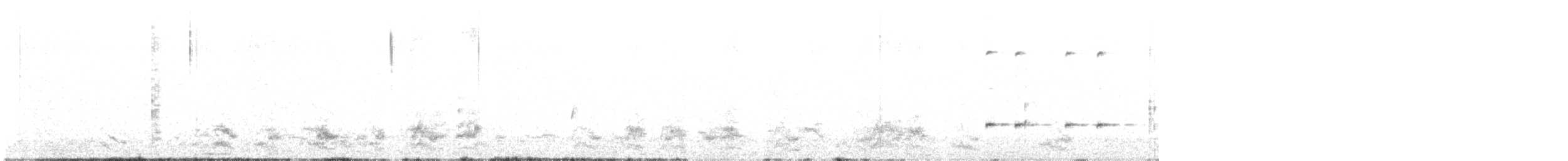 svarthaleparakitt - ML612324358