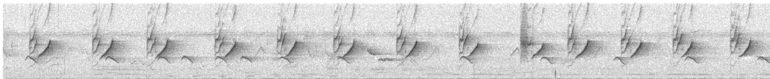 Атласная нектарница - ML612325243