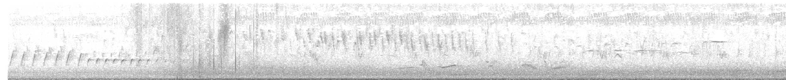 Белокрылый личинкоед-свистун - ML612327361