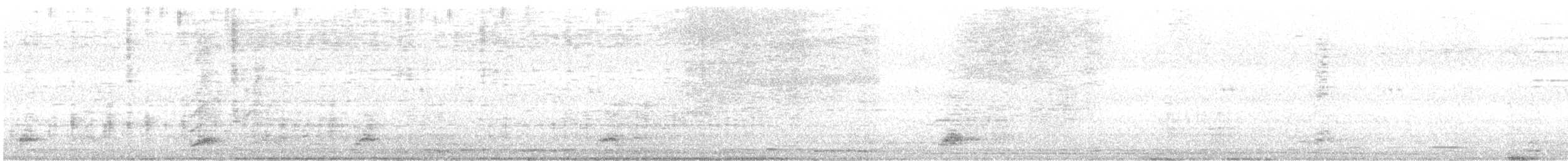 Black-crowned Night Heron - ML612329614