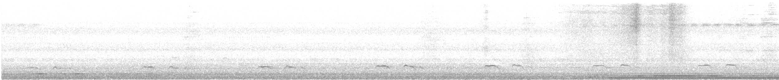 Зозуля білогорла - ML612329639