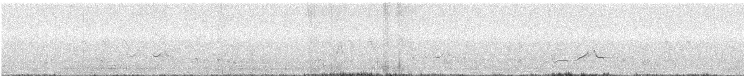 White-tailed Iora - ML612335468