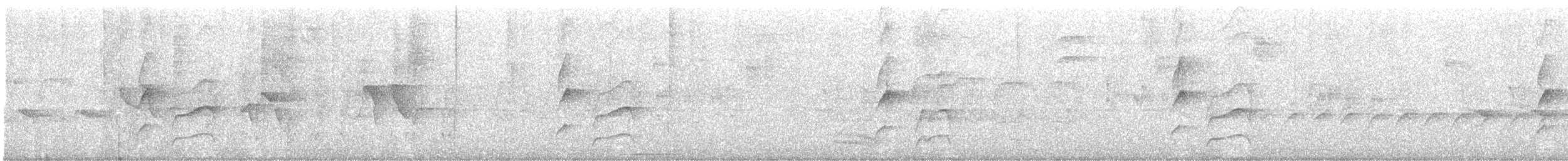 Streifenbrust-Dickichtschlüpfer - ML612337149