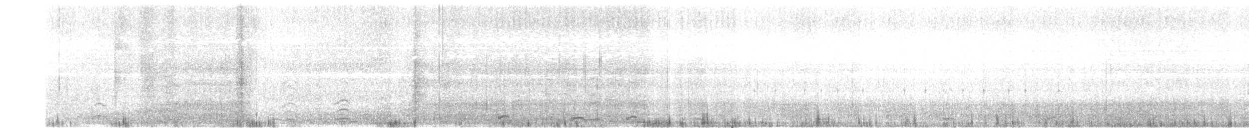 Cygne siffleur - ML612337521