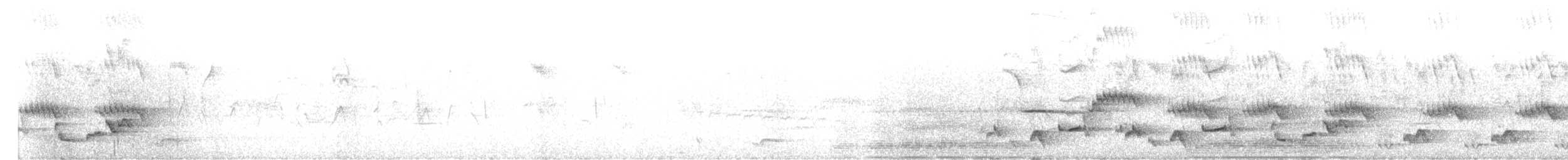 Белобровый рыжехвост - ML612344499