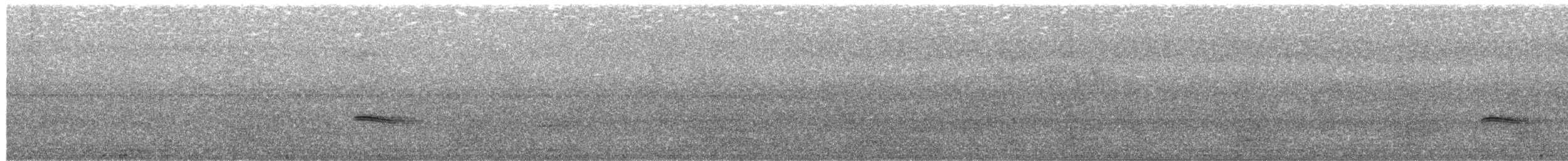 Everett Ardıcı - ML612345169