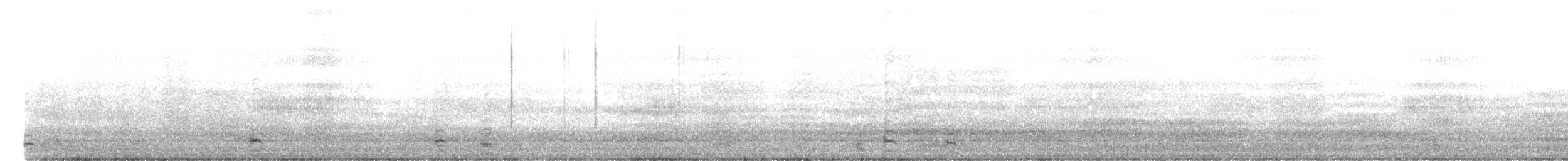 berneška malá (ssp. hutchinsii) - ML612349702