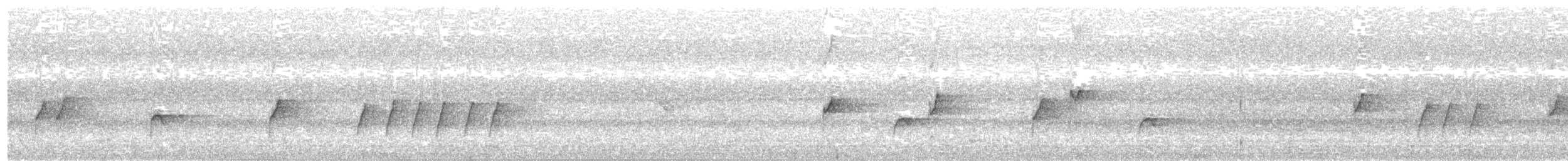 דרונגו עשנוני (בורנאו) - ML612350173