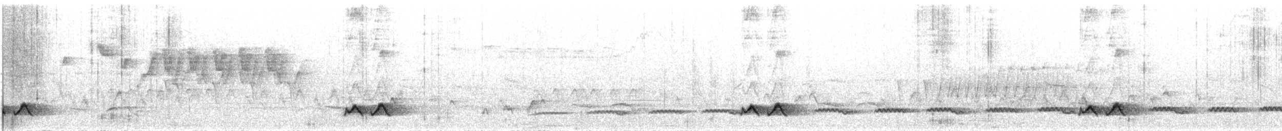 Пестрогрудый саблеклюв - ML612350644