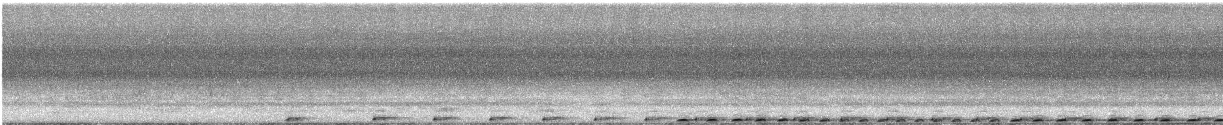 Pheasant Coucal - ML612351828