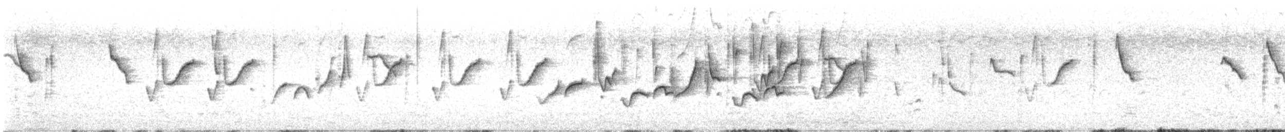 Braunbürzel-Dornschnabel - ML612352047