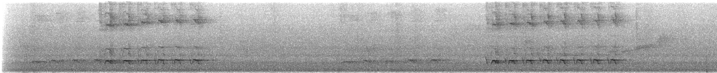 シラオラケットカワセミ - ML612352272
