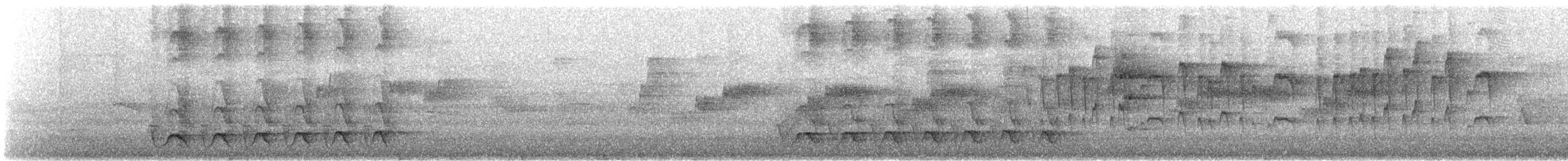 シラオラケットカワセミ - ML612352273
