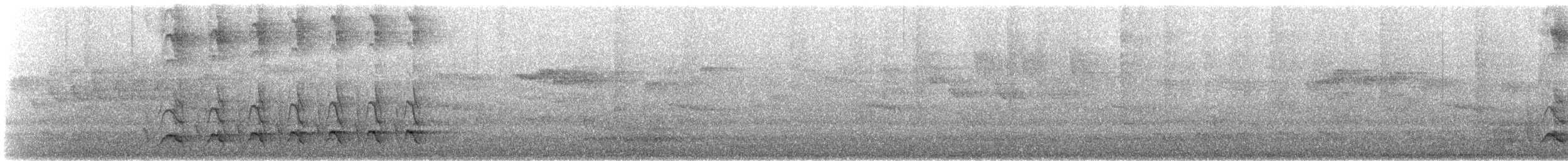 シラオラケットカワセミ - ML612352274