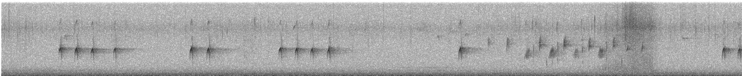"Шишкар ялиновий (Northeastern, або тип 12)" - ML612354598