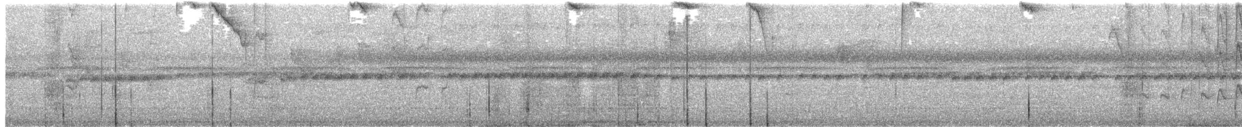 Violet-tailed Sylph - ML612356685