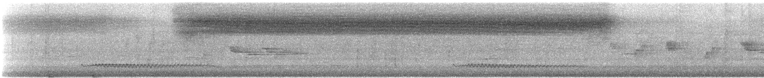 シラオラケットカワセミ - ML612359240