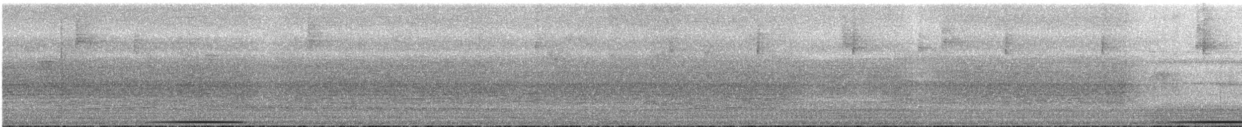 holub šedočelý - ML612359269