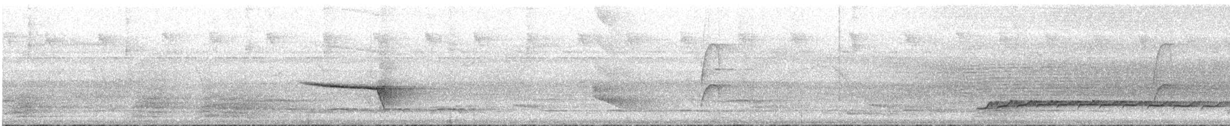 Lawrence's Thrush - ML612359458