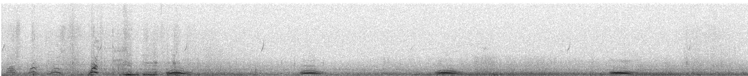 snøugle - ML612361430