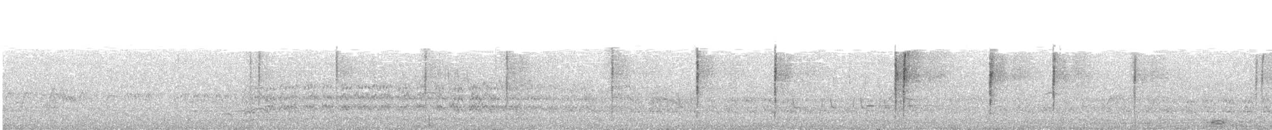 Трясохвіст темночеревий - ML612362290