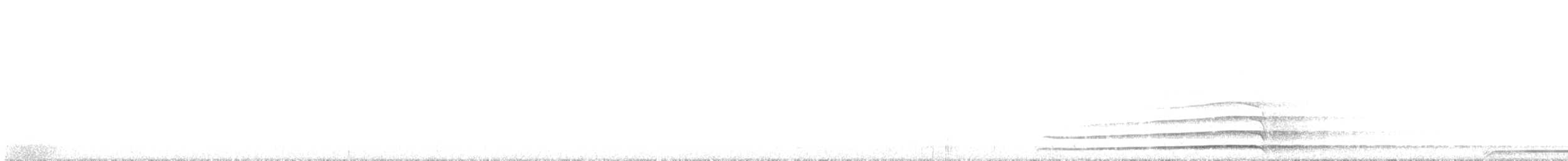 Barred Owl - ML612363177