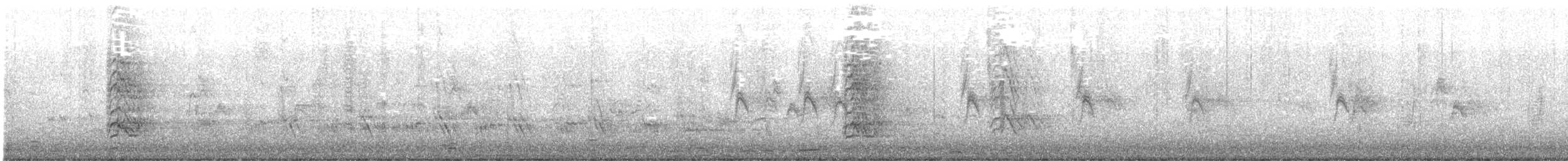 Perruche alexandre - ML612366205