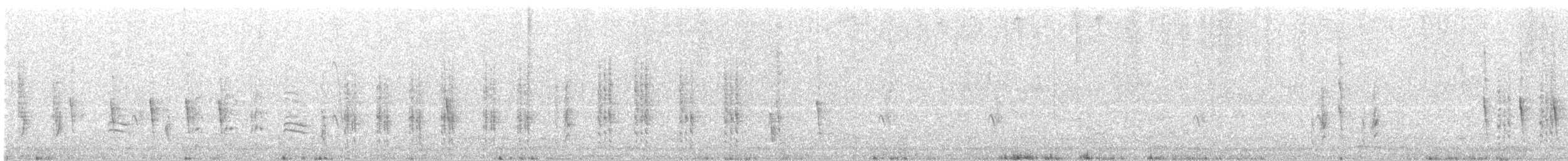 Rousserolle effarvatte (groupe baeticatus) - ML612366442