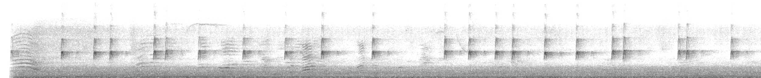 Поплітник каролінський - ML612366693