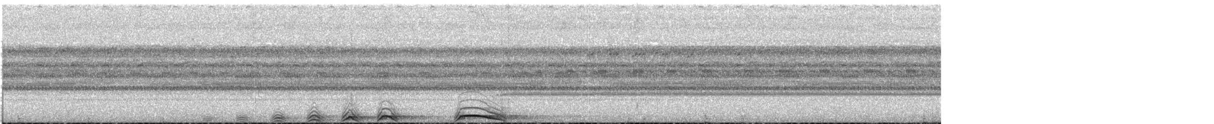 Black-and-white Owl - ML612367654