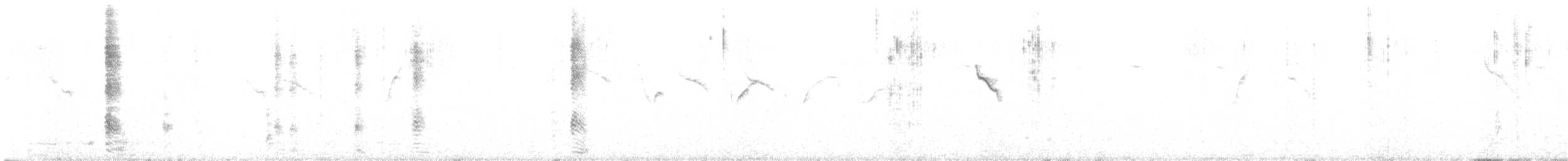 Белобровая яху - ML612369724