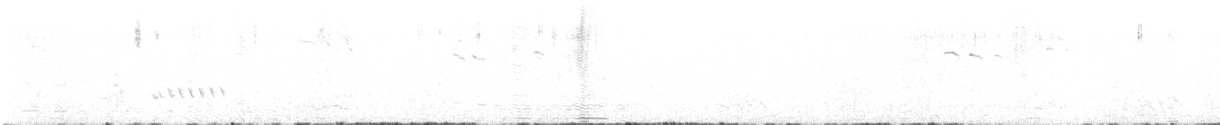 Queue-de-gaze du mallee - ML612369796