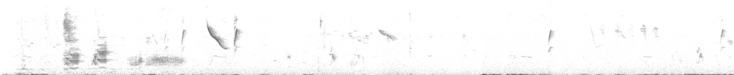 White-browed Babbler - ML612369851