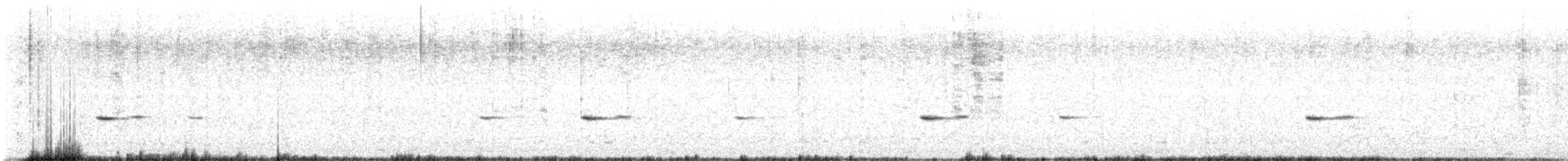 Pardalote pointillé (xanthopyge) - ML612369889