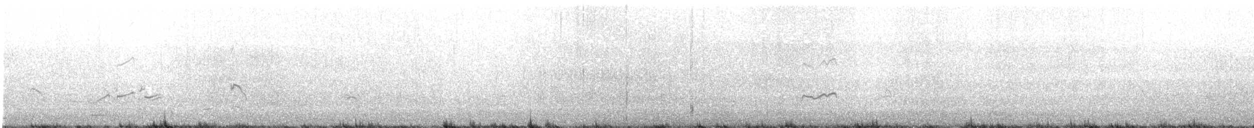 Gray-tailed Tattler - ML612370035