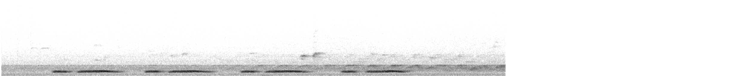 Tourterelle tigrine (chinensis/tigrina) - ML612371116