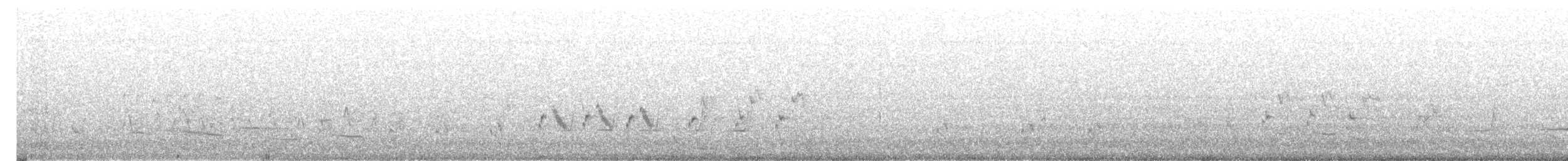 australtrostesanger - ML612371900